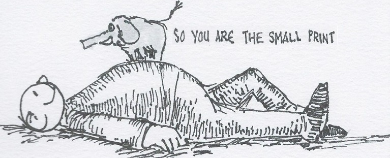 SmallPrint_final