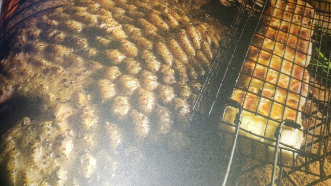 Renata's porcupine skin braai