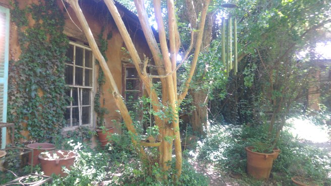 Ian Glenny's fairyland