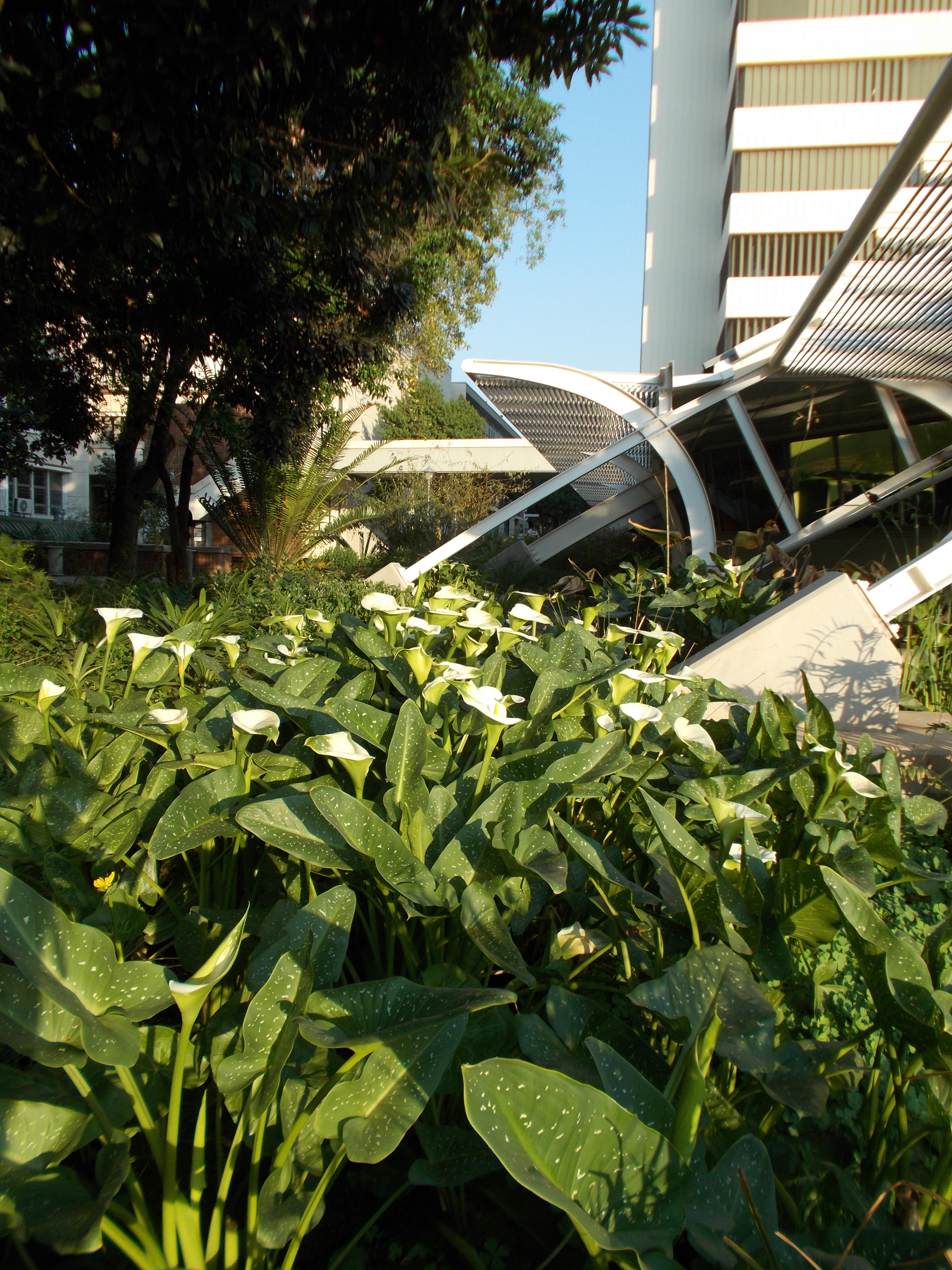 up water transformer