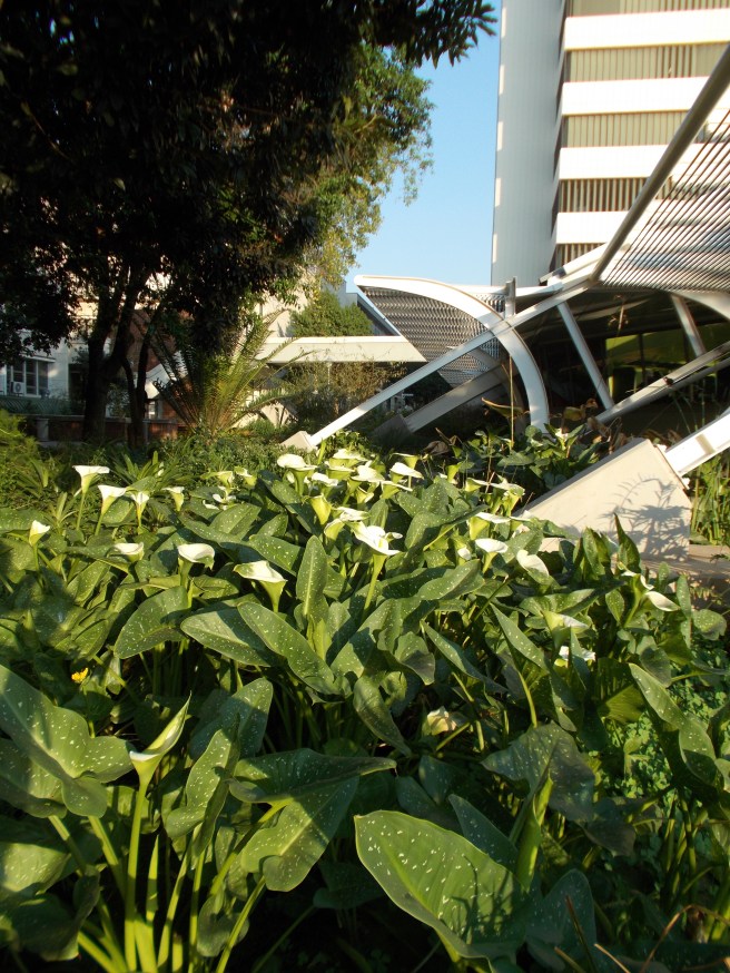 up water transformer