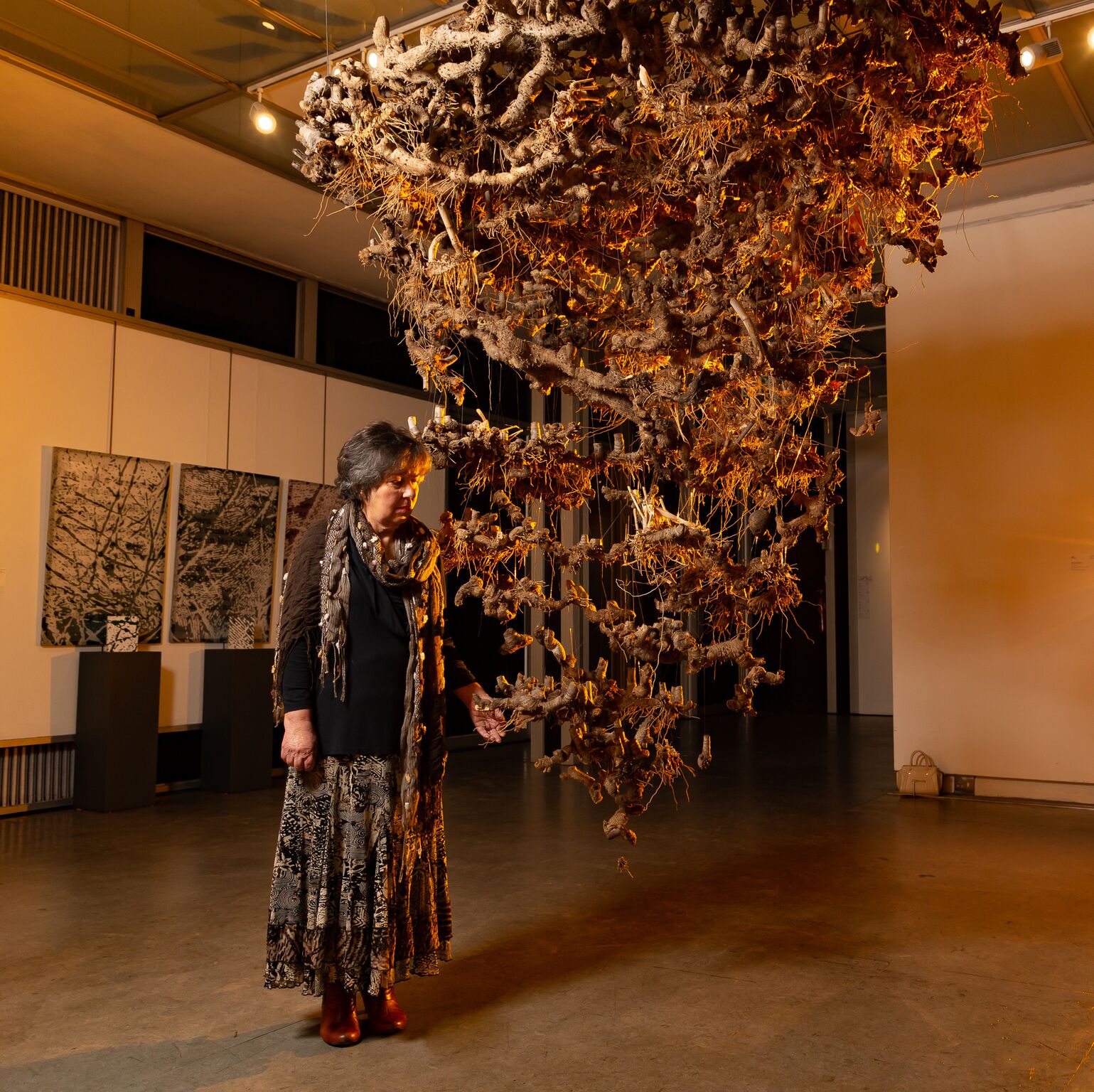 S Cecilia Maartens-Van Vuuren (Bloemfontein) A presentiment Dried roots.jpg