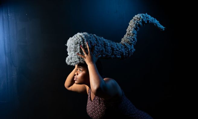 S Kgodisho Moloto (Polokwane) Disguise mask Pot scrubs and wire