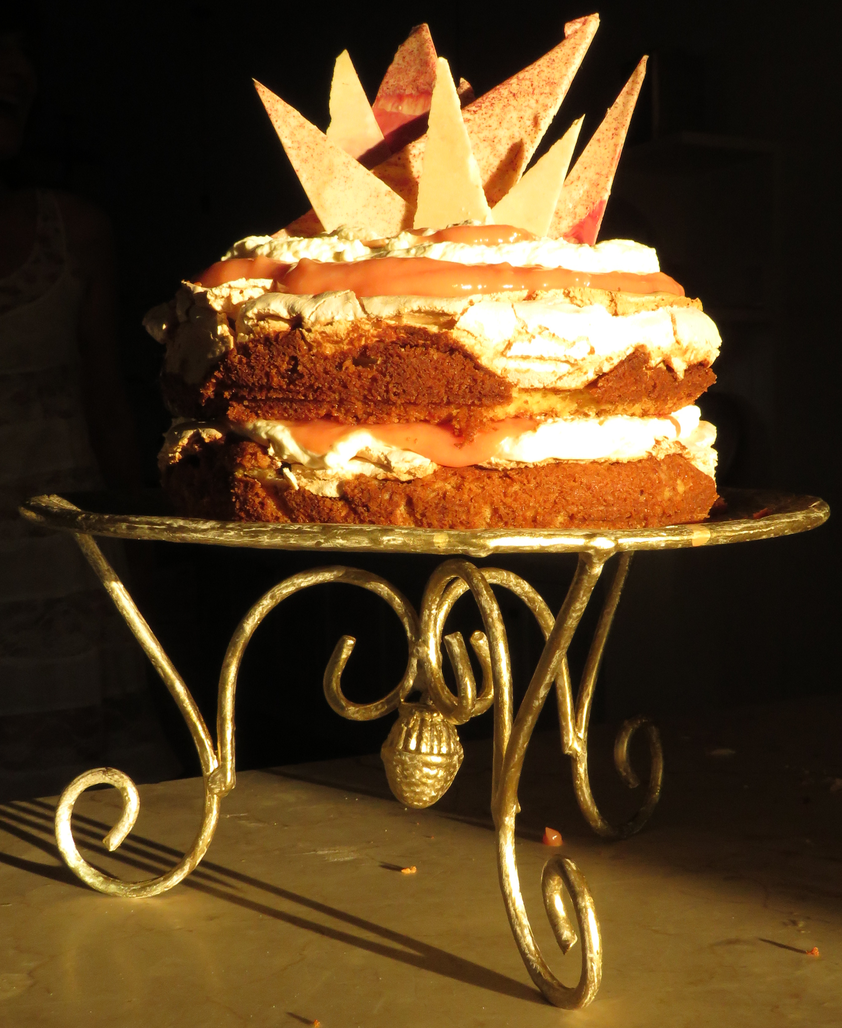 Weerligkoek complete PvS. JPG