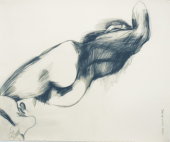 Majak Bredell n1983 study