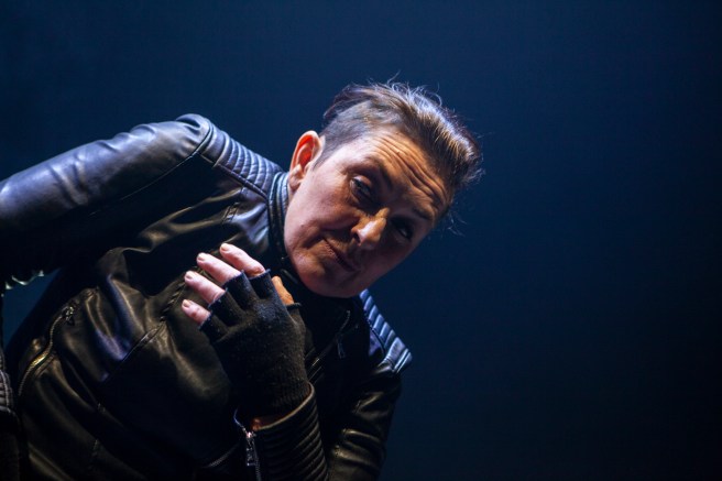 Shake Camilla Waldman