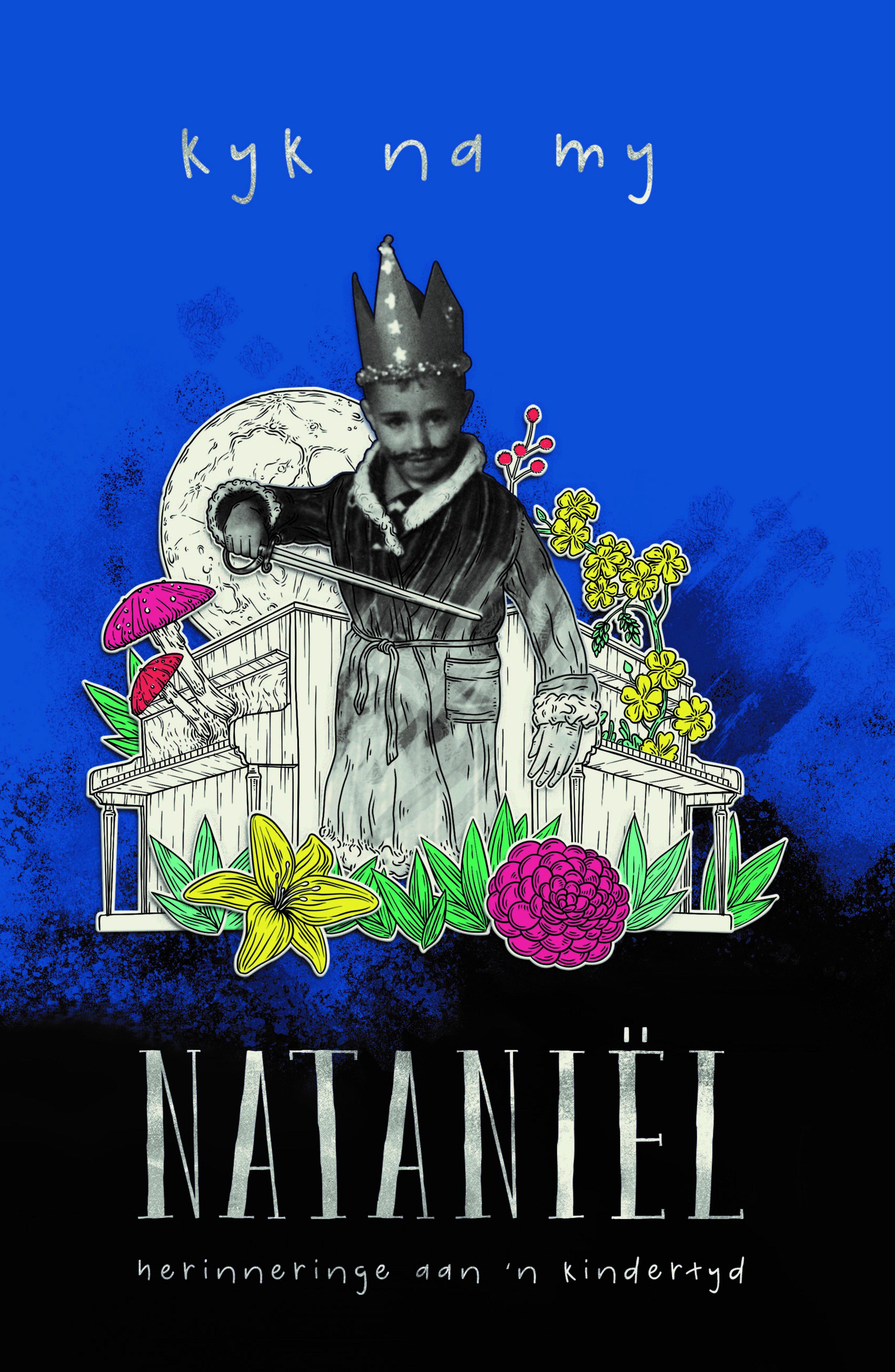 Nataniel boek