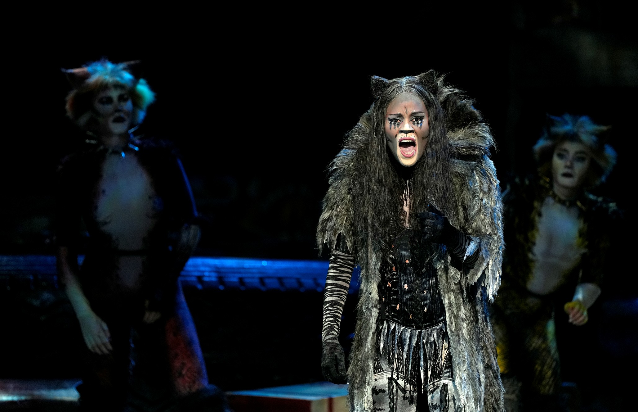 INDIVIDUALLY AND AS AN ENSEMBLE THE CATS PERFORMERS PURRED PERFECTLY ...
